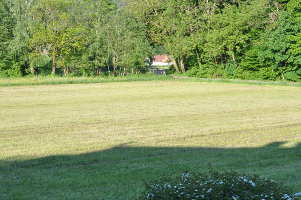 Ferienwohnung Fischer Frickingen Esterno foto